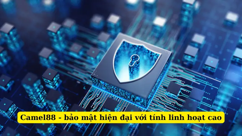 Camel88 - bảo mật hiện đại với tính linh hoạt cao